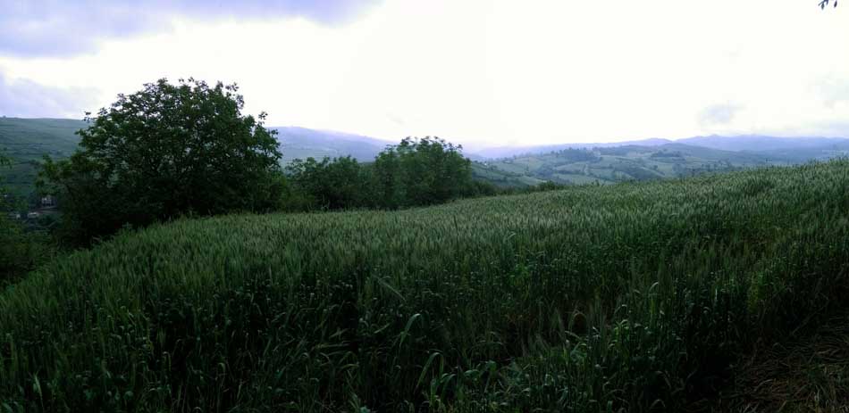 IMG_20160506_092801.jpg (950×463)