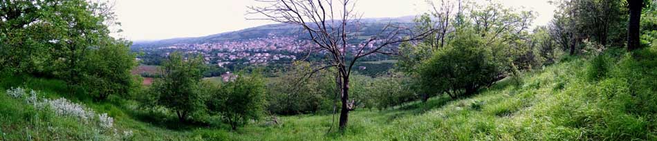 IMG_20160506_092943.jpg (950×204)