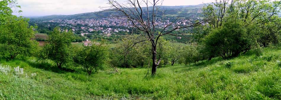 IMG_20160506_093101.jpg (950×339)