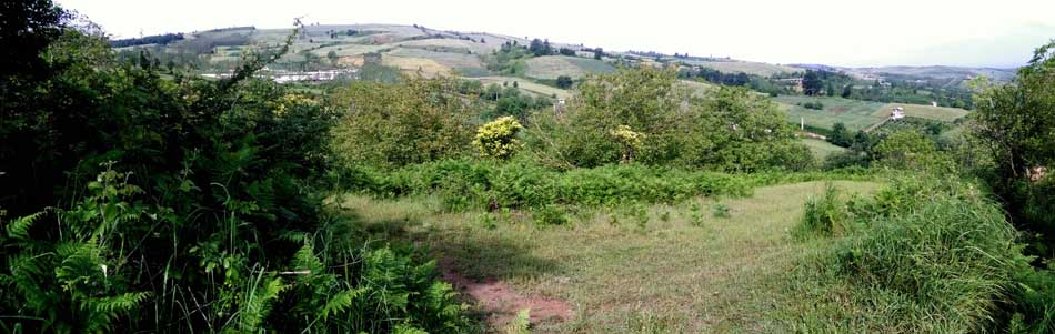 IMG_20160506_093908.jpg (950×301)