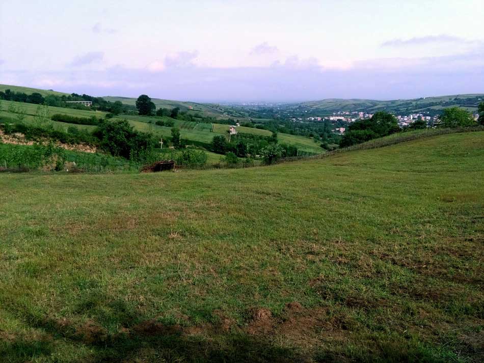 IMG_20160506_094445.jpg (950×713)