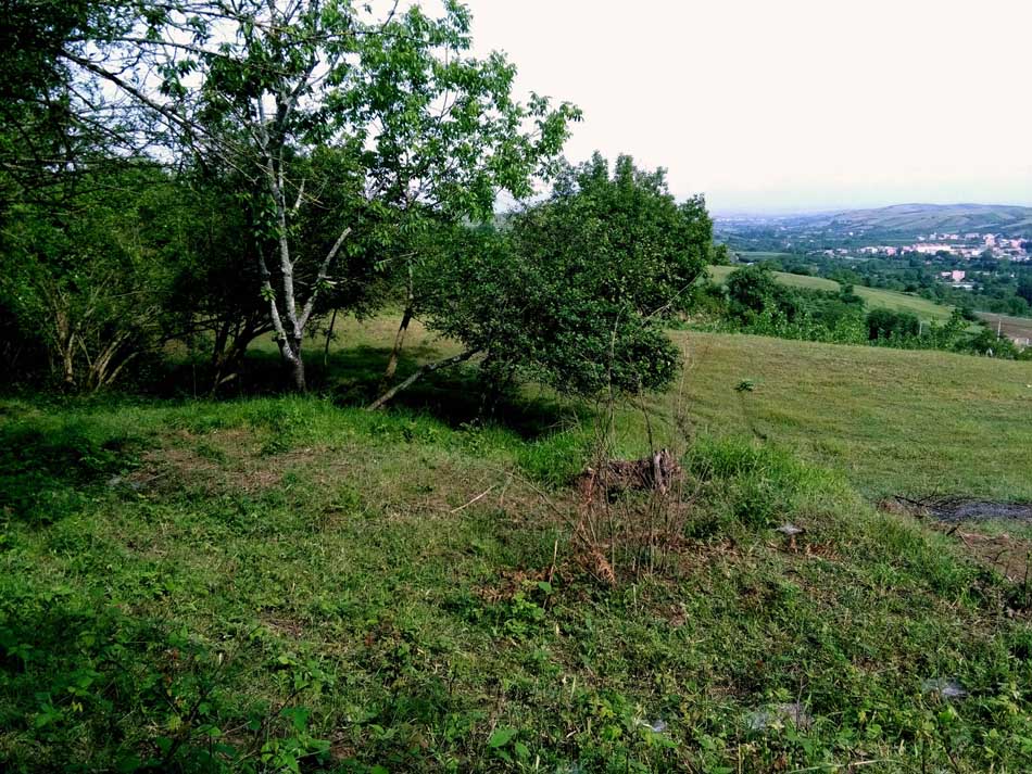 IMG_20160506_095633.jpg (950×713)