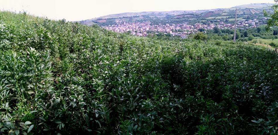 IMG_20160506_102952.jpg (950×463)