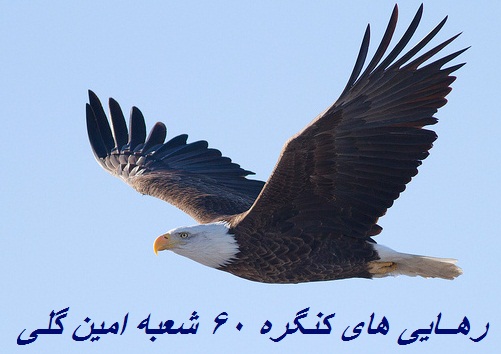 http://s6.picofile.com/file/8252382442/61914_qby11uPz.jpg