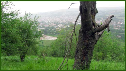 IMG_4533_copy.jpg (520×292)