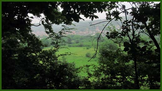 IMG_4587_copy.jpg (520×292)