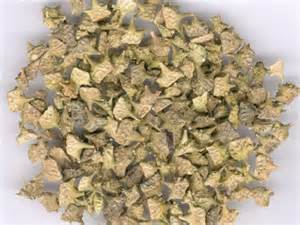 خواص خارخسک