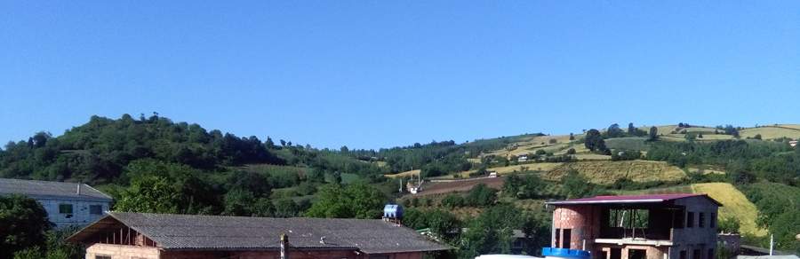 IMG_20160522_080801.jpg (900×292)