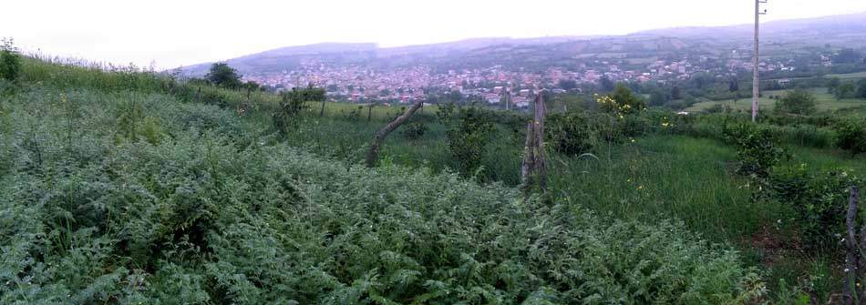 IMG_20160507_082836.jpg (950×335)