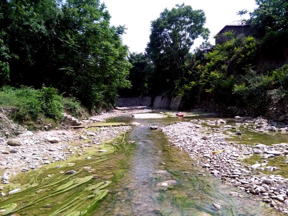 IMG_20160519_145138.jpg (950×713)