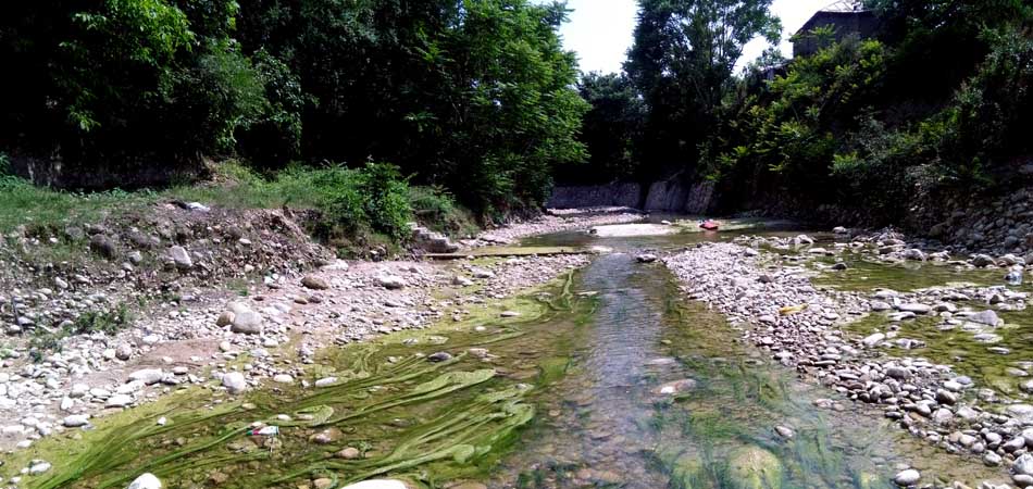 IMG_20160519_145201.jpg (950×450)