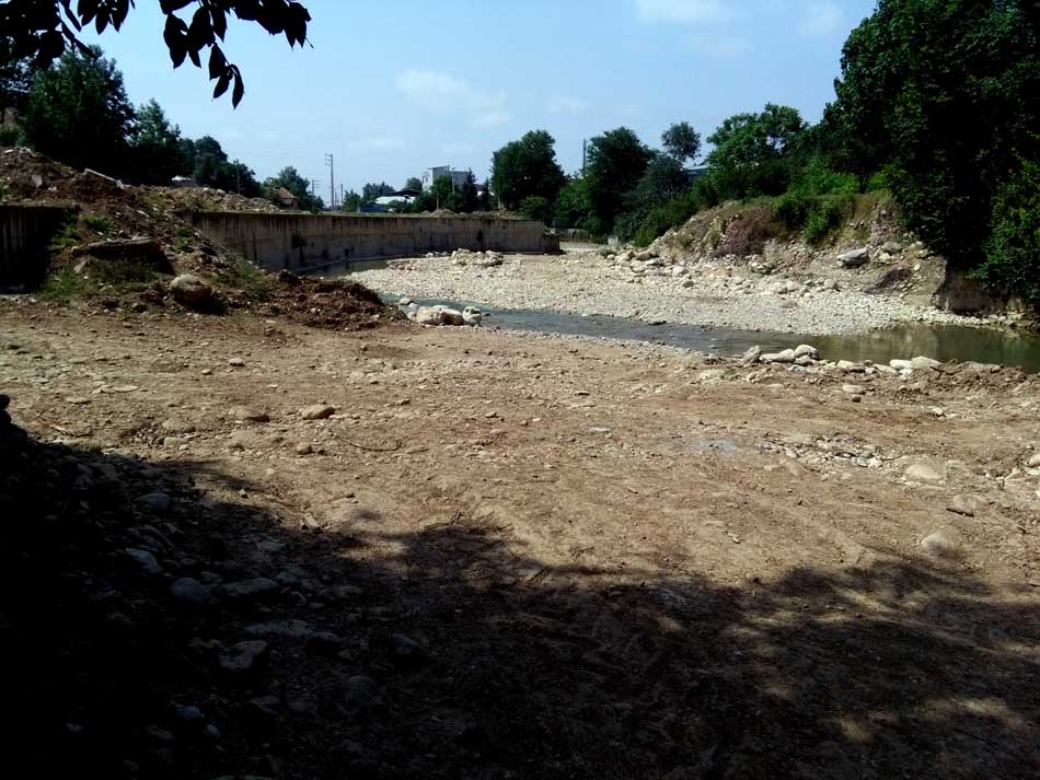 IMG_20160519_145301.jpg (950×713)