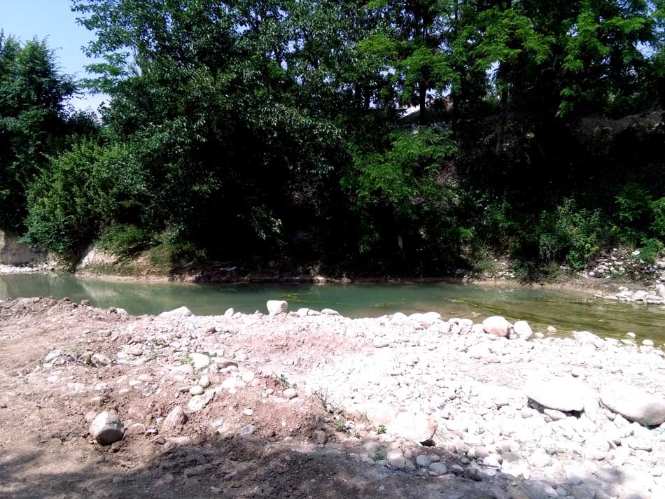 IMG_20160519_145305.jpg (950×713)