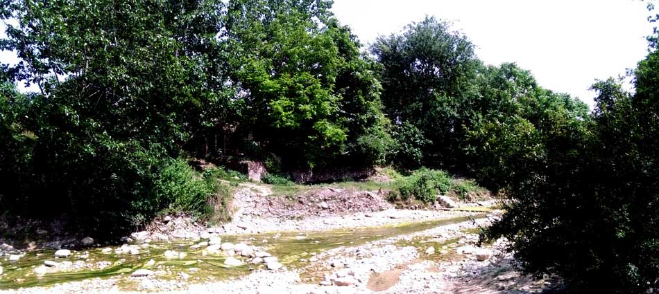 IMG_20160519_145347.jpg (950×425)