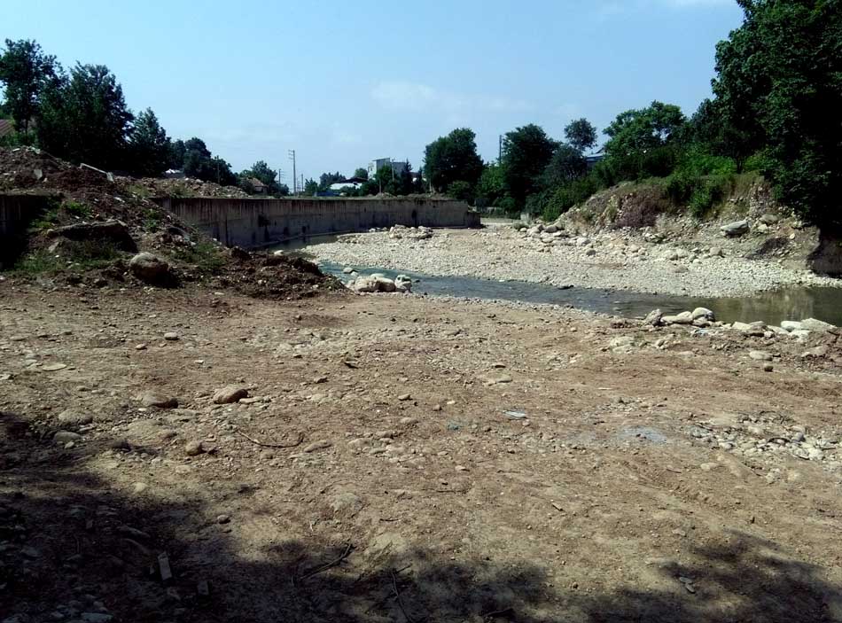 IMG_20160519_145358.jpg (950×703)