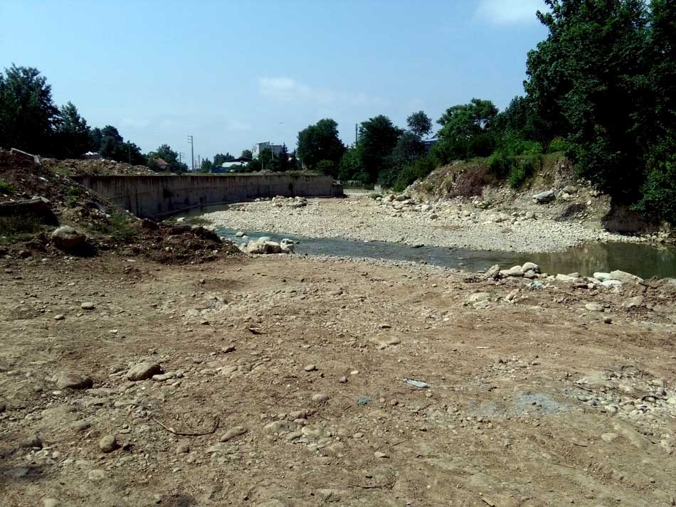 IMG_20160519_145408.jpg (950×713)