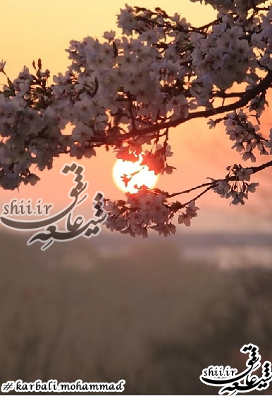 طراحی لوگو پوسته و بنر مذهبی برای هییت های مذهبی،کمترین قیمت،شیعه عاشق،طراحی لوگو مذهبی،طراحی لوگو ،طراحی لوگو هیئتی،طرح های لوگو مذهبی،سفارش لوگو،طراحی سفارش لوگو مذهبی،