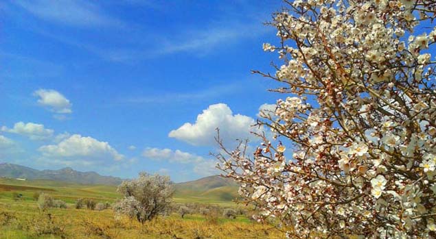 روستای چرگر