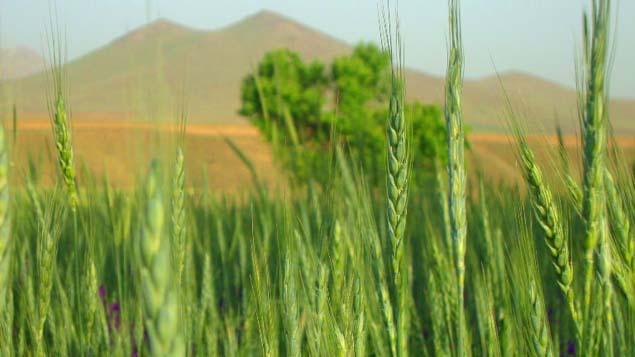 روستای چرگر