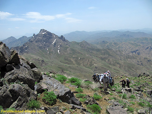 بدر و پریشان