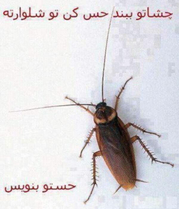 صرفا برای خنده