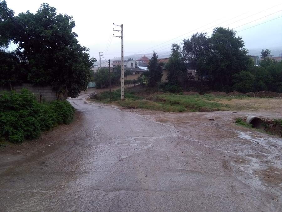 IMG_20160608_085658.jpg (900×675)