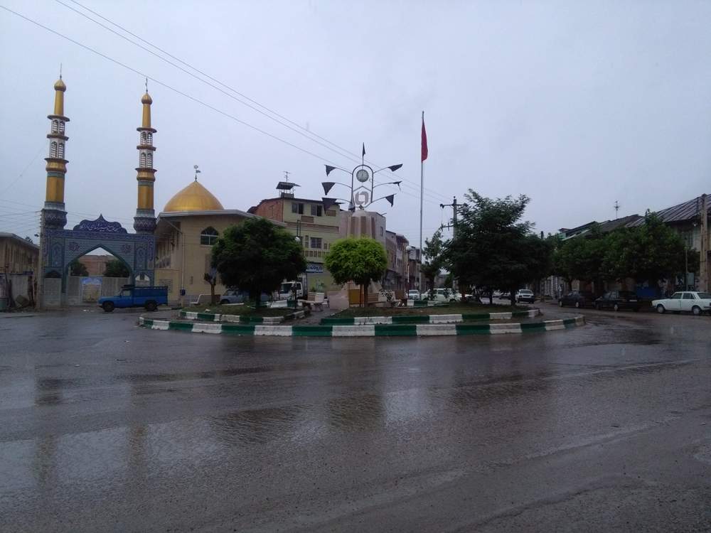 IMG_20160608_090410.jpg (1000×750)