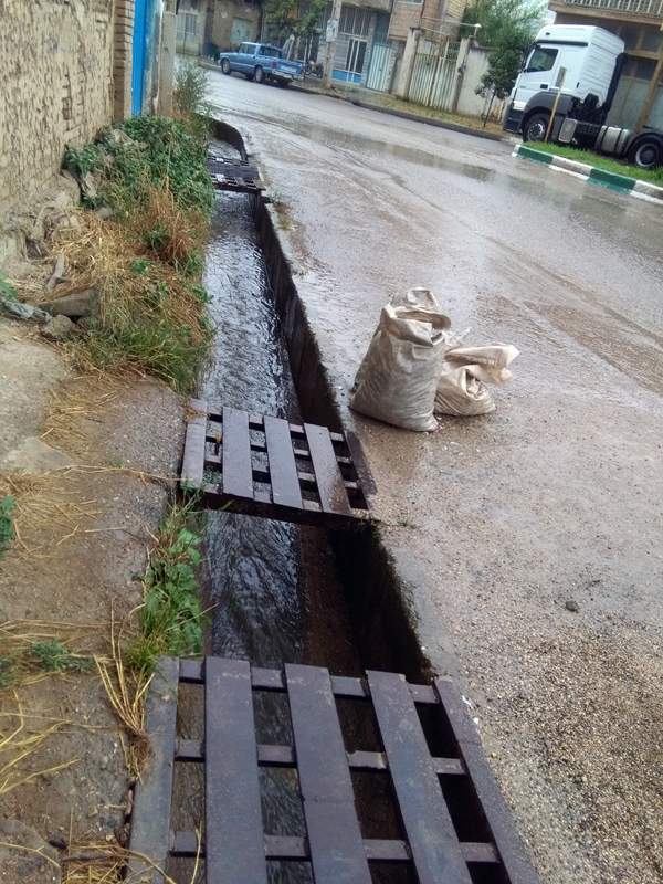 IMG_20160608_090420.jpg (600×800)