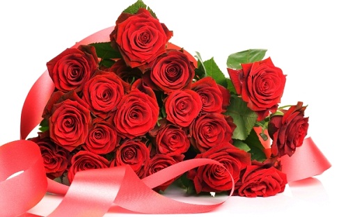 http://s6.picofile.com/file/8255142084/roze_photo.jpg