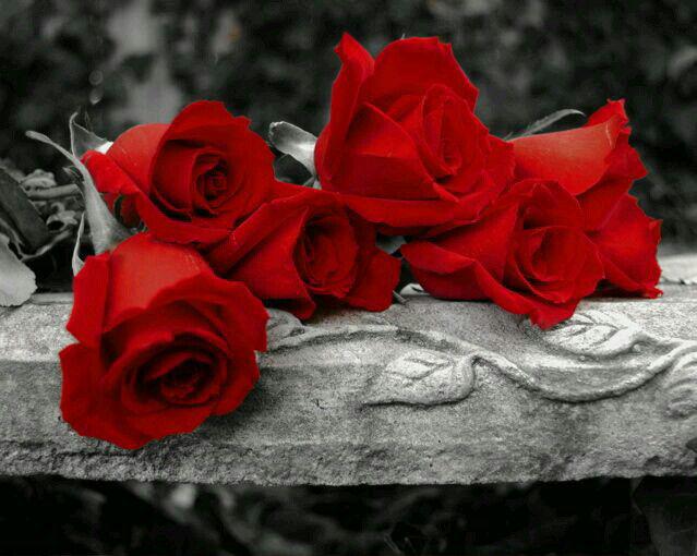 http://s6.picofile.com/file/8255455734/photo_2016_06_12_12_58_14.jpg