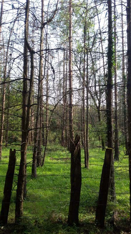 photo_2016_06_13_20_04_03.jpg (450×800)