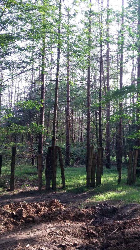 photo_2016_06_13_20_04_51.jpg (450×800)