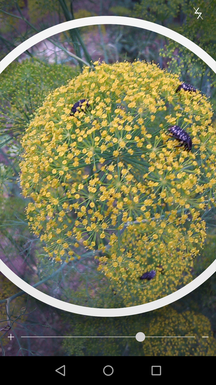 Screenshot_2016_06_10_17_44_51.png (720×1280)