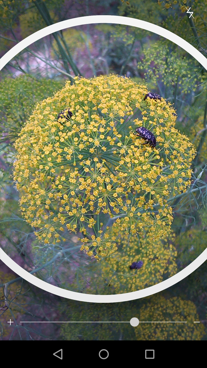 Screenshot_2016_06_10_17_44_57.png (720×1280)