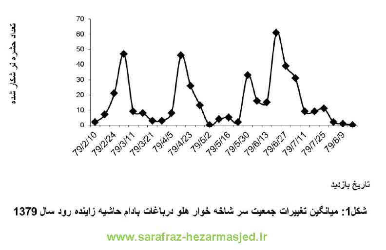www.sarafraz-hezarmasjed.ir آفات بادام