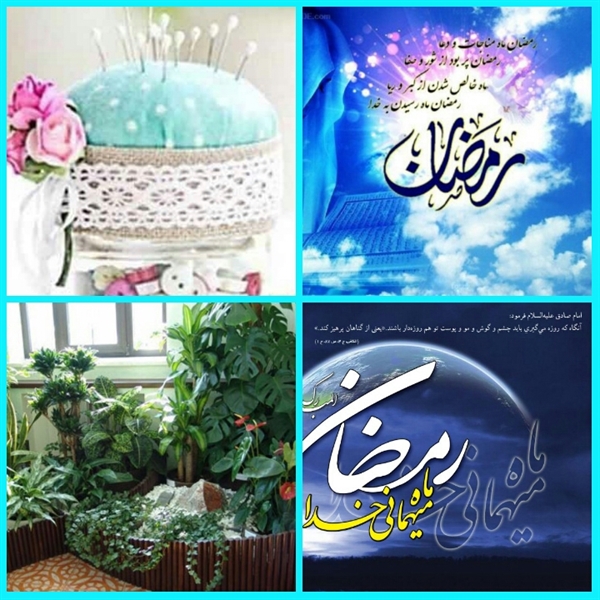 کوچه باغ سایت 6 کوچه باغ سایت 6
