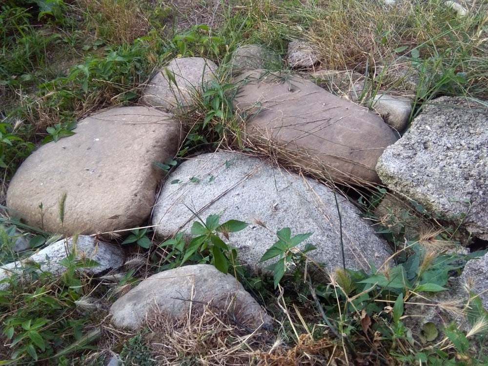 IMG_20160623_174039.jpg (1000×750)