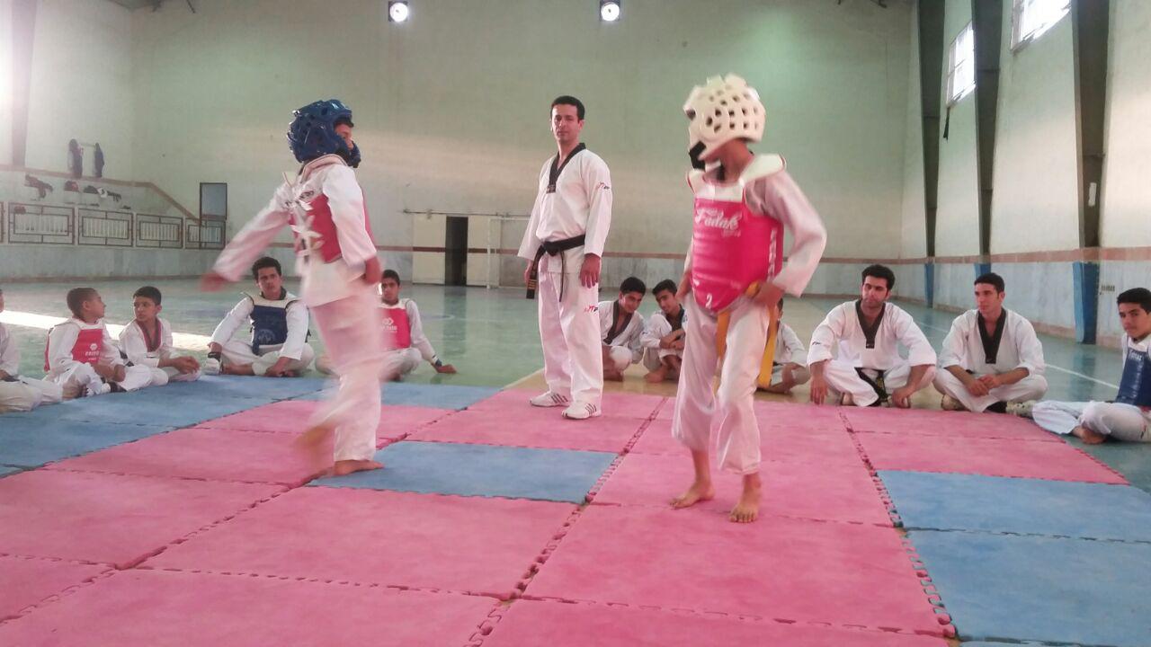 photo_2016_06_26_10_24_40.jpg (1280×720)