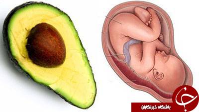 شکل اعضای بدن