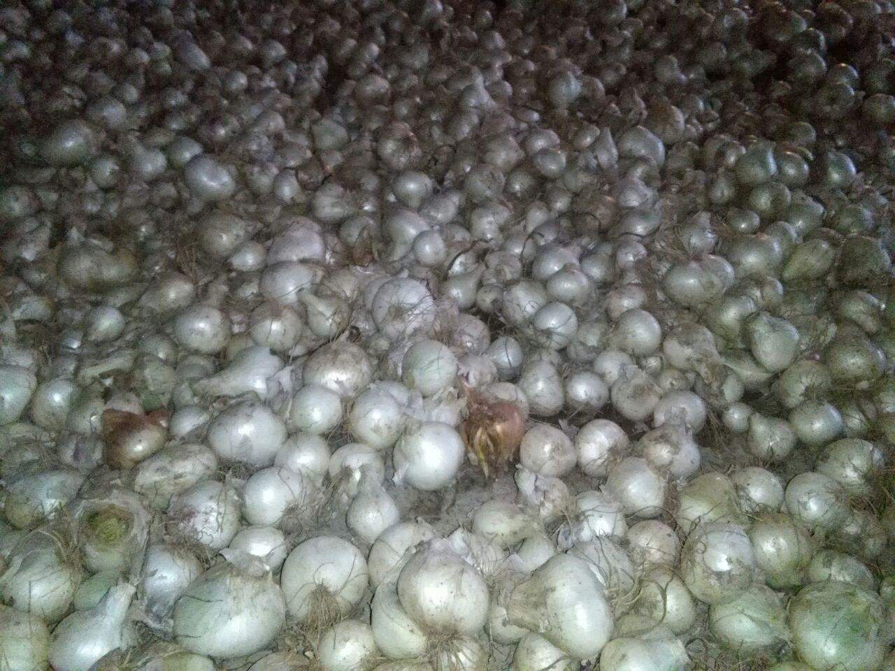 photo_2016_07_07_15_05_38.jpg (1280×960)