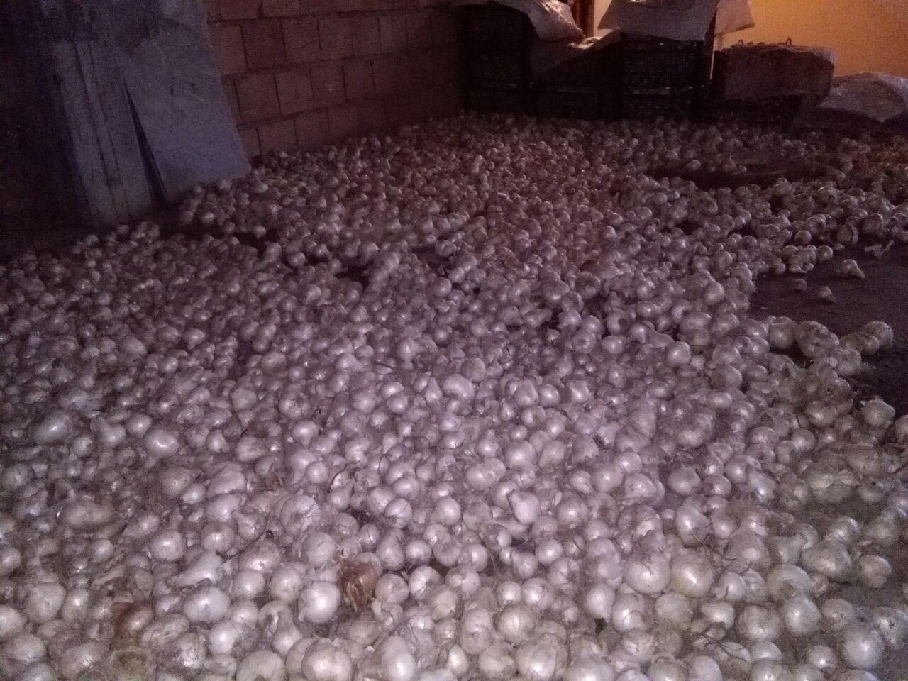 photo_2016_07_07_15_05_58.jpg (1280×960)