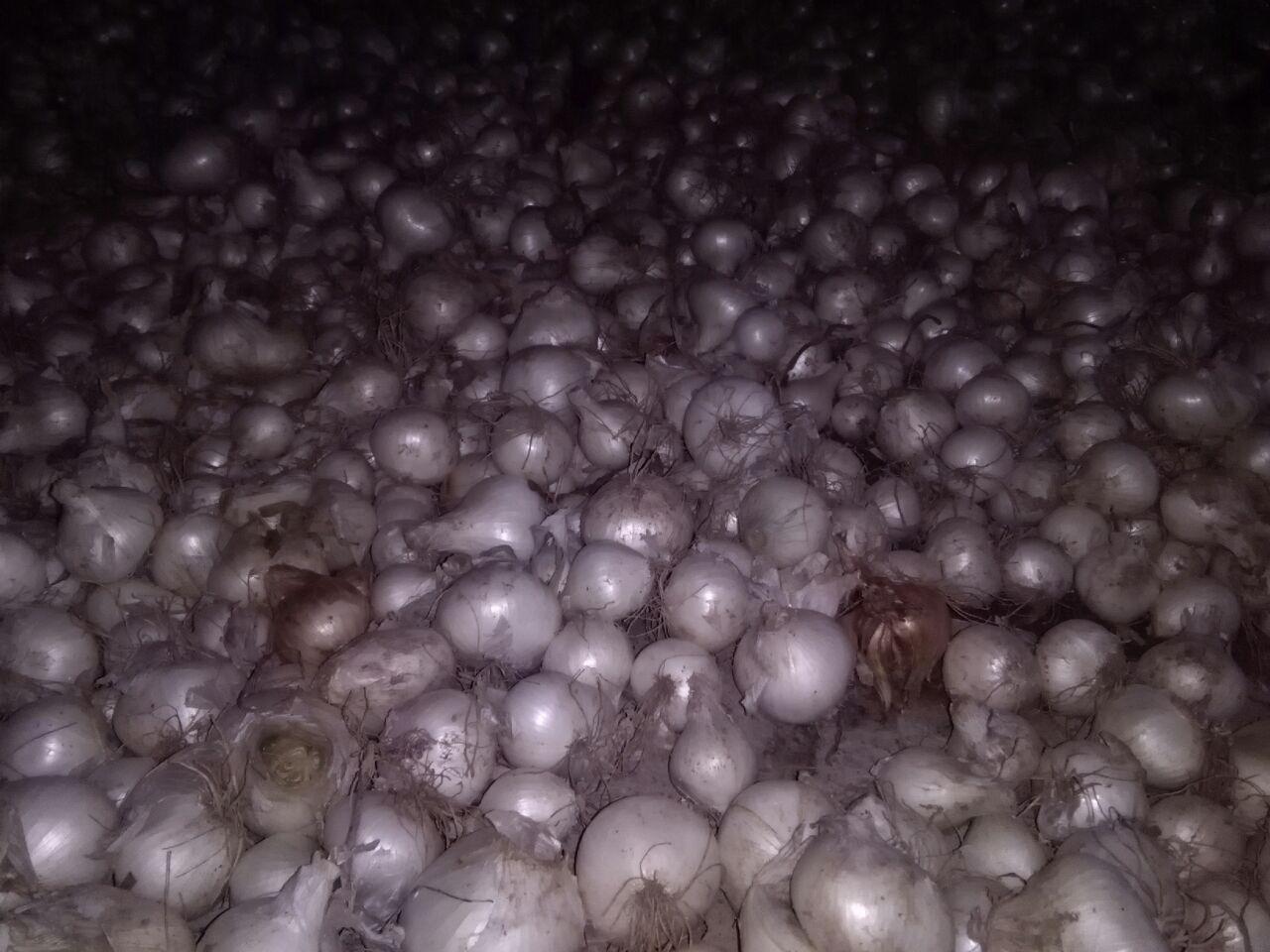 photo_2016_07_07_15_06_02.jpg (1280×960)