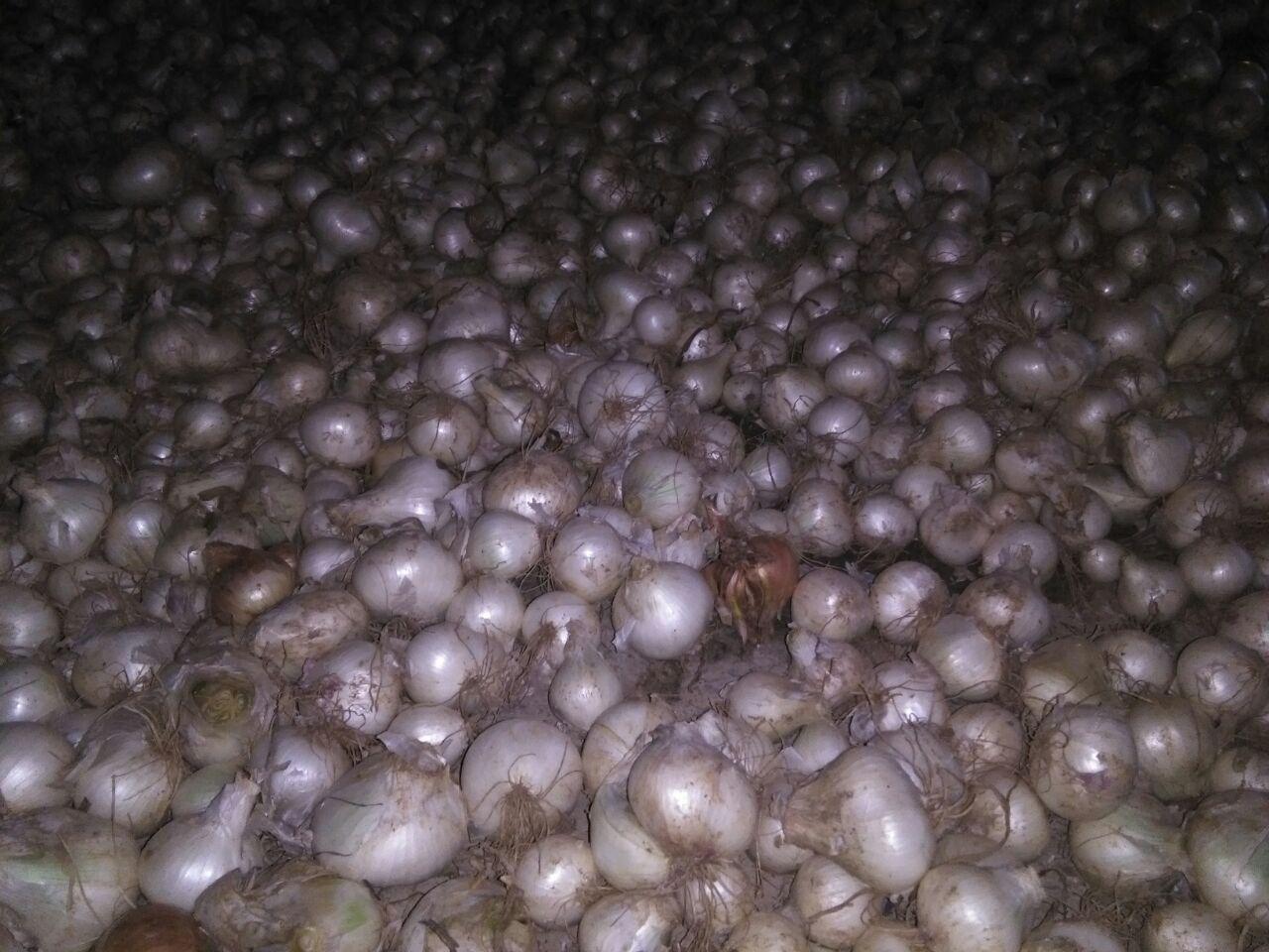 photo_2016_07_07_15_06_12.jpg (1280×960)