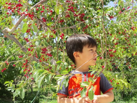 http://s6.picofile.com/file/8259031242/IMG_3996.JPG