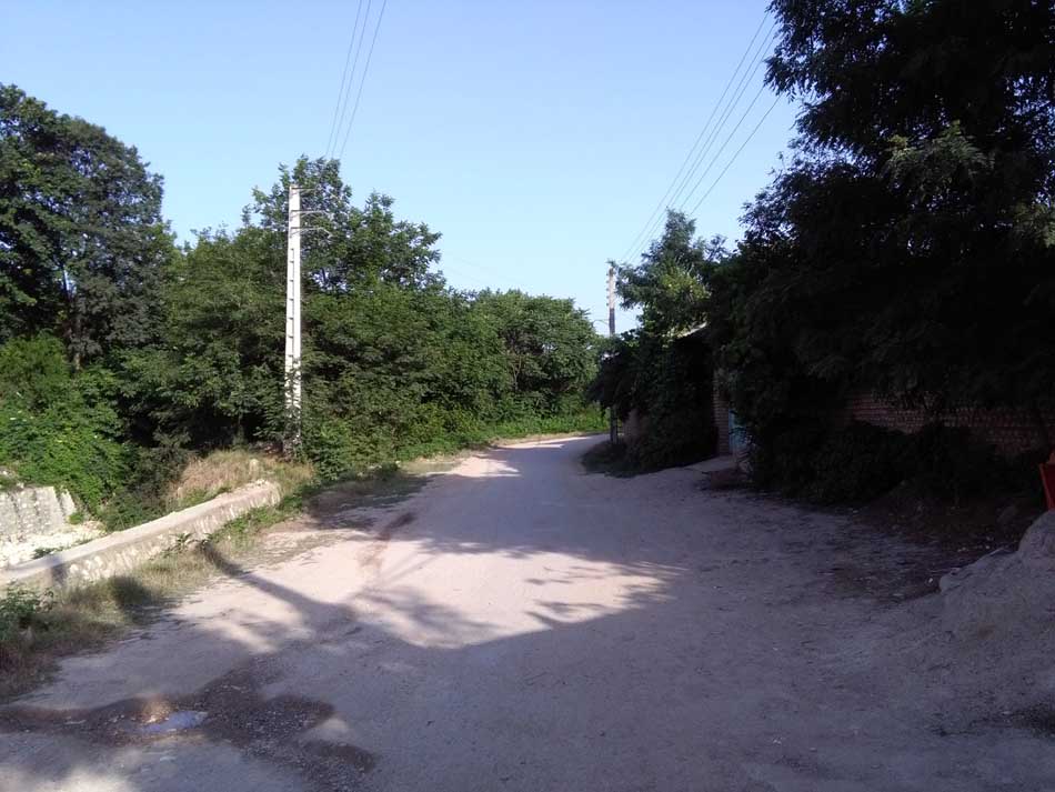 IMG_20160620_075858.jpg (950×713)