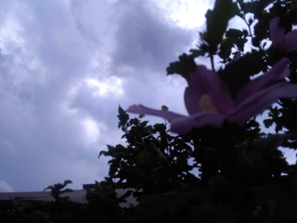 IMG_20160626_150619.jpg (950×713)