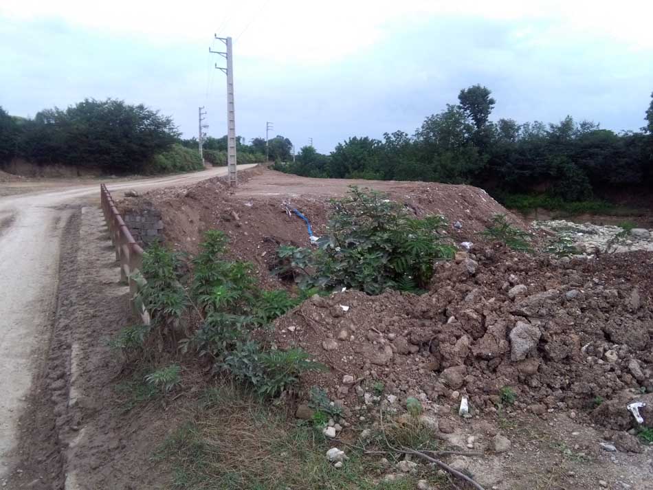 IMG_20160706_075113.jpg (950×713)