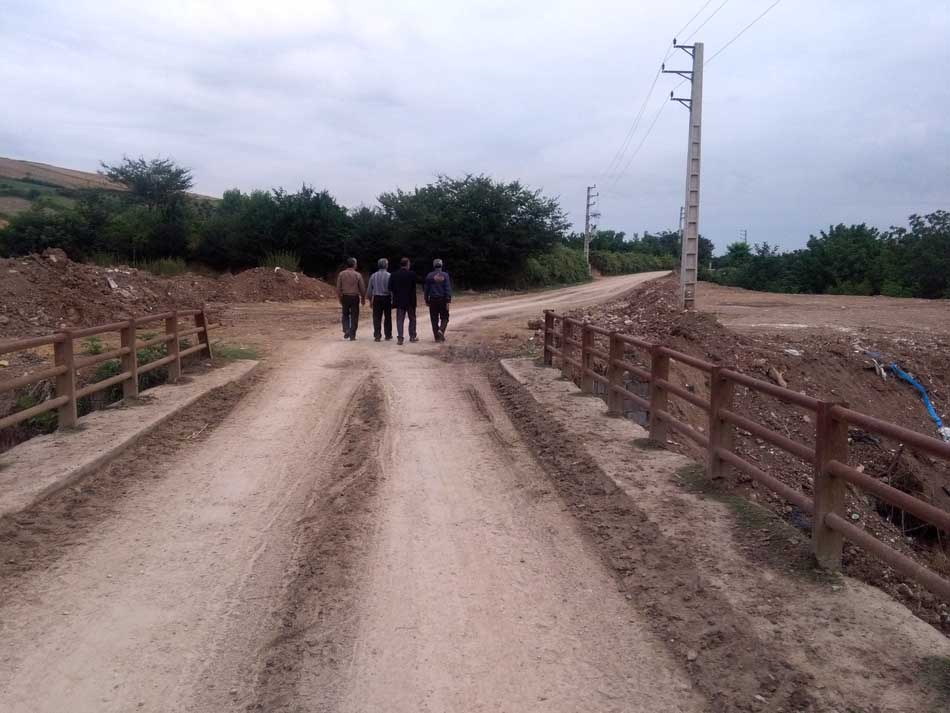 IMG_20160706_075134.jpg (950×713)