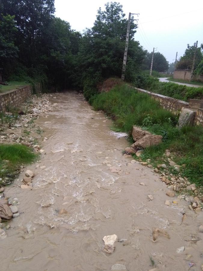 photo_2016_07_12_08_56_01.jpg (675×900)