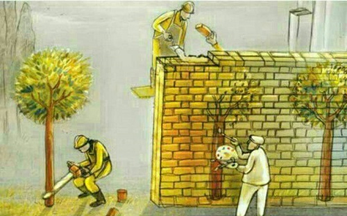 پارادوکس توسعه